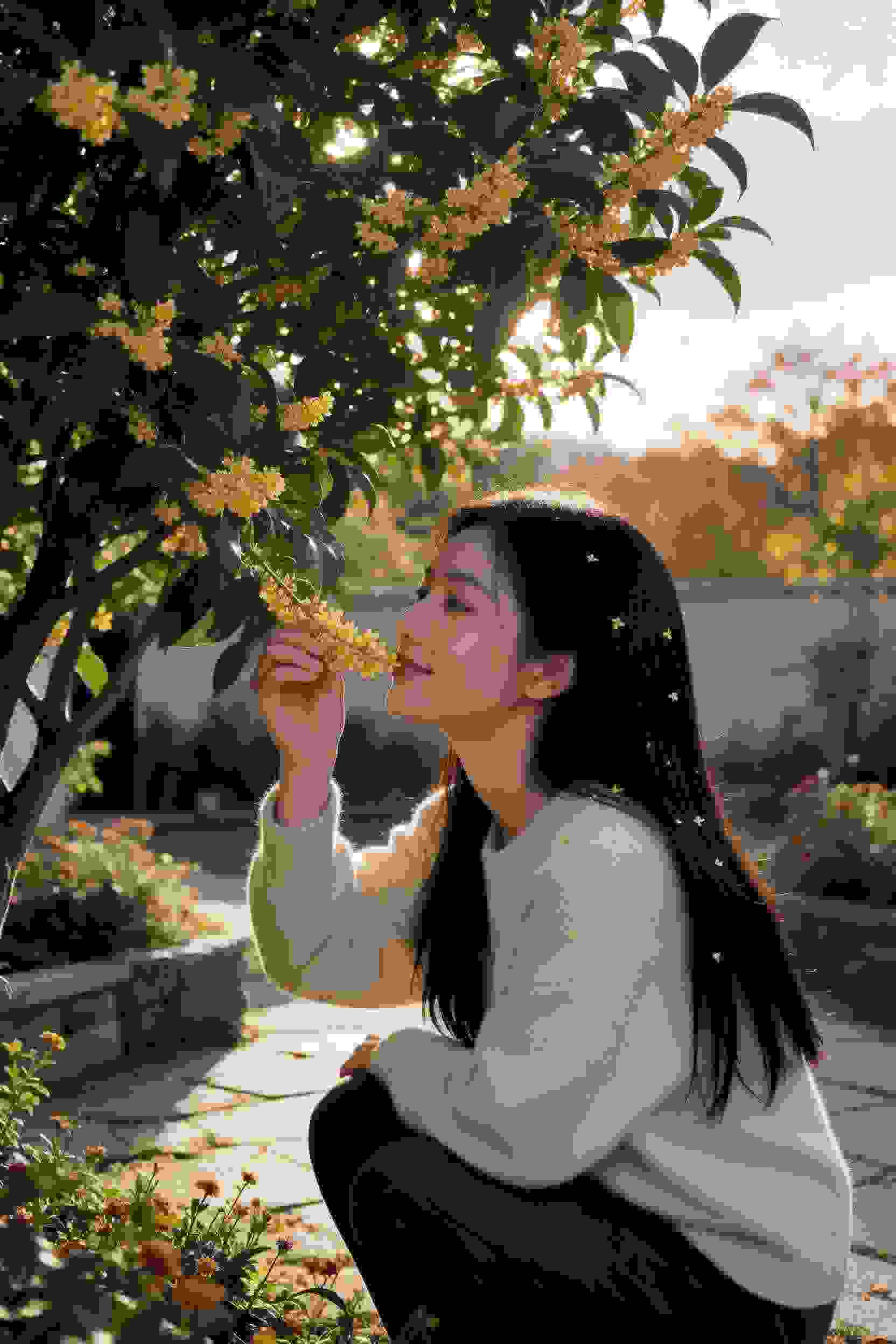 狐妖小红娘